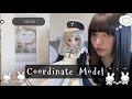 【開封】コーディネートモデル白蓮がおうちにきた！