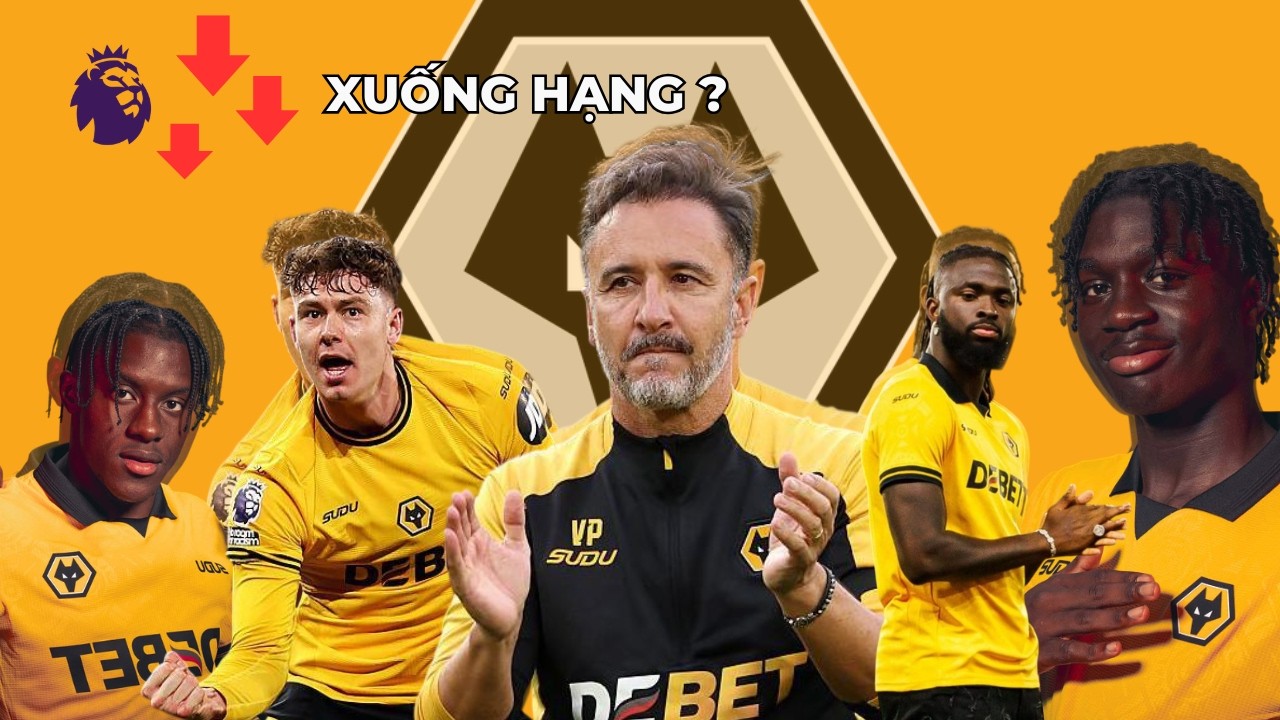 TẠI SAO MÀ BẦY SÓI LẠI TAN NÁT ĐẾN VẬY ?