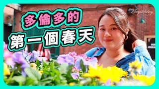 VLOG移民加拿大多倫多的第一個春天FLOWERS MARKETAGO