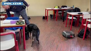 Il fiuto del cane poliziotto "Athena" trova la droga in classe a Como