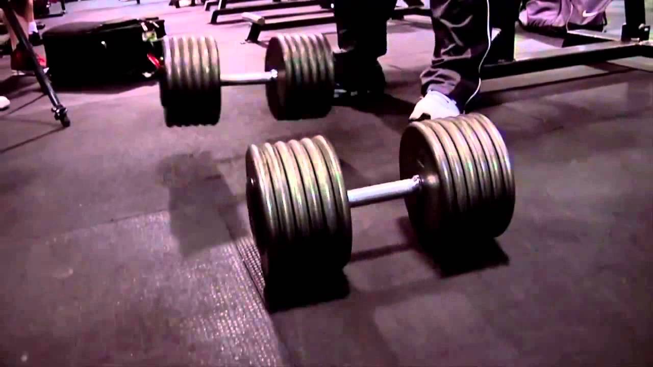 v unit klata plecy barki v unit klata plecy barki