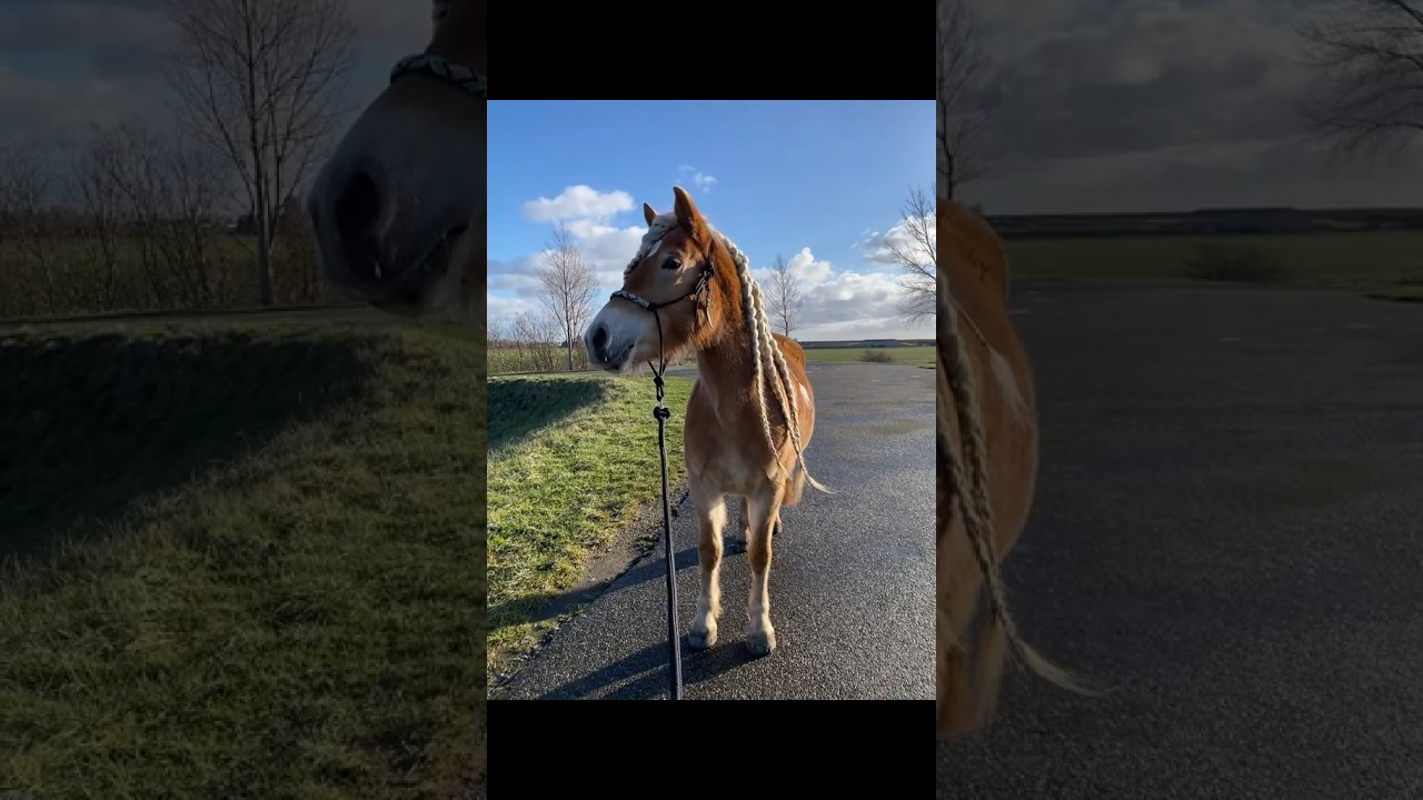 Mijn eigen hoofdband gehaakt 🤭🧶