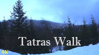 19 Minutes Mountain Walk | 4K | ASMR | Virtual Walking | Nature Hike | Forest Trail | Winter Walks