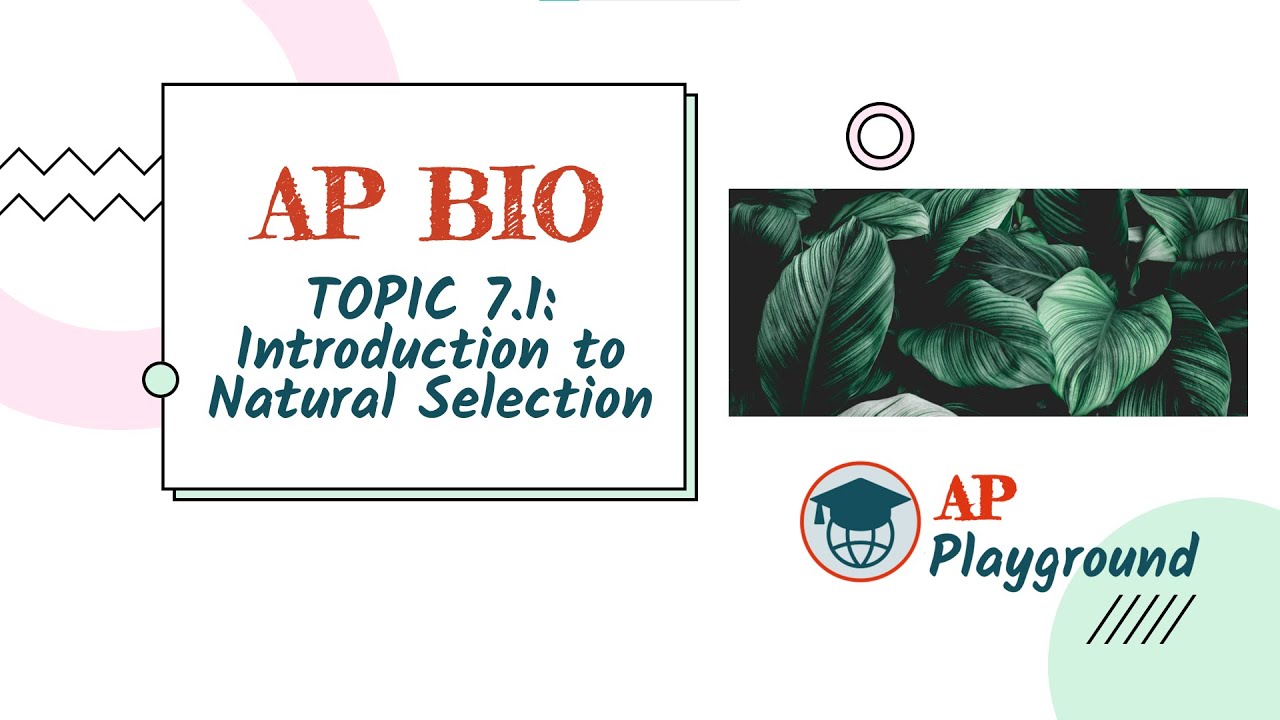AP Biology 7.1: Introduction to Natural Selection | AP Playground - YouTube