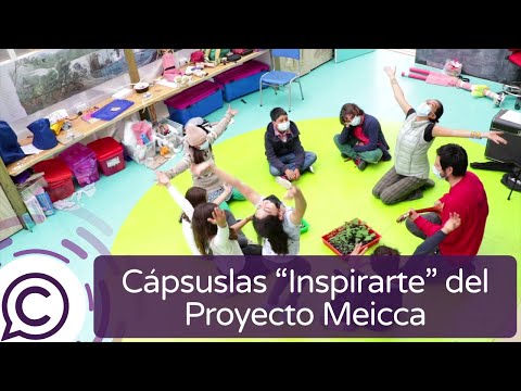 "Inspirarte", cápsulas educativas del Proyecto Meicca, serán transmitidas por PichilemuTV.org