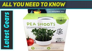 Mini Microgreens Growing Kit - The Best Indoor Pea Shoots Kit for Quick, Organic Greens