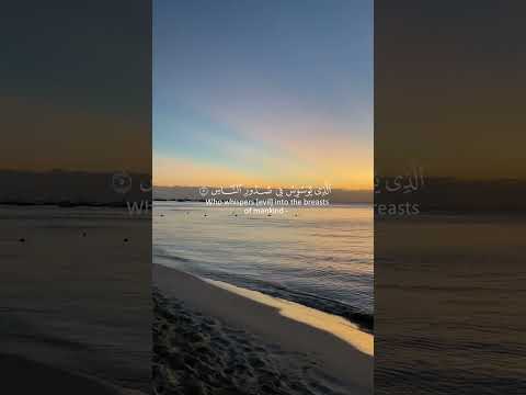 القران الكريم سورة الناس بصوت شريف مصطفى