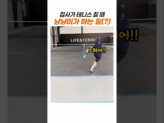"도망쳐!!" 집사가 테니스 칠 때 냥냥이가 했던 일