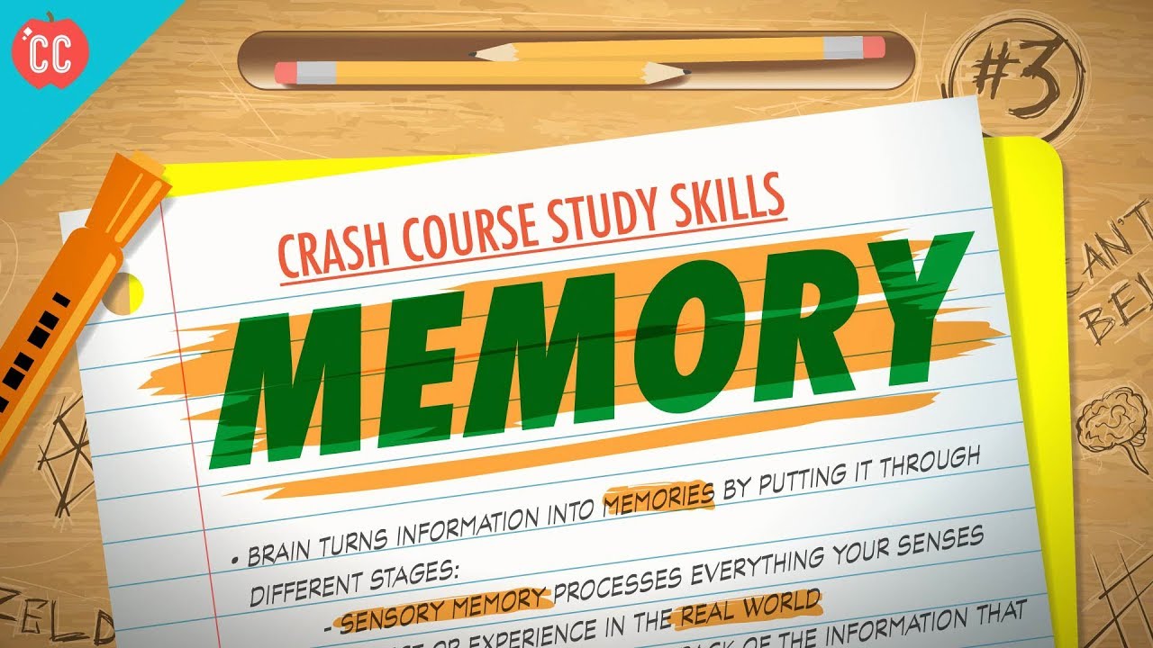 ⁣Memory: Crash Course Study Skills #3