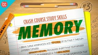 crash course essay writing