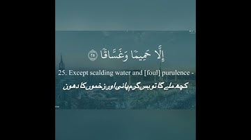 SURAT AN -NABA سوره النبا بالترتيل بصوت الشيخ رعد الكردي#raad_mohammad_alkurdi
