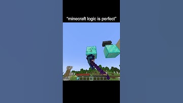 minecraft logic is so bad 💀