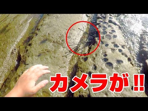 釣りYoutuberが最も恐れていた事が起こってしまった