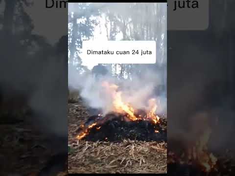 Video: Cara Mendaur Ulang Kebun - Manfaatkan Sampah 