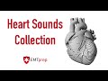 Heart Sounds Collection - EMTprep.com