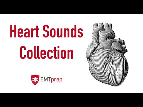 Heart Sounds Collection - EMTprep.com