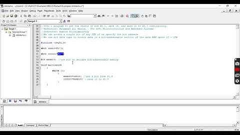 SBIT SFR and BIT ACCESS
