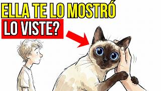 6 Cosas Que Tu Gato Solo Hace Contigo (Si Eres Su Persona Favorita) Y Su Significado Real.
