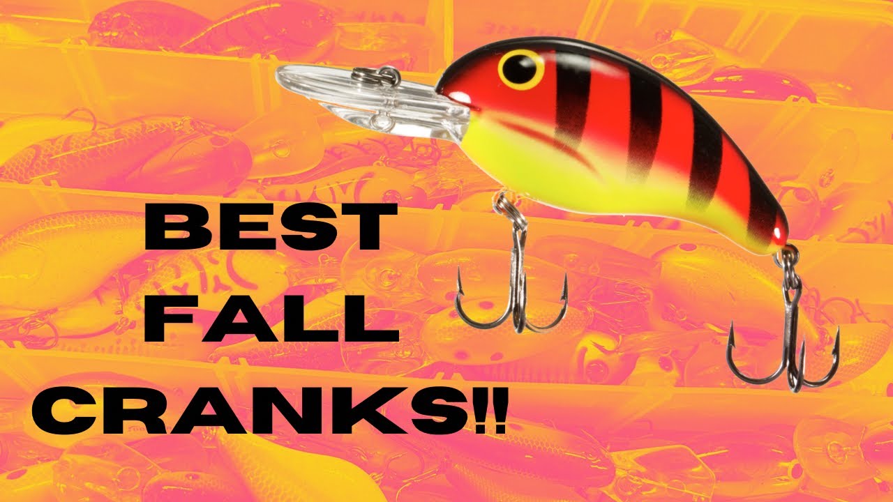 THESE 3 Crankbaits Have Proven Themselves For BIG FALL BASS!!