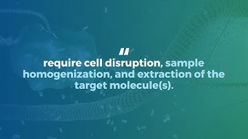 Best Practices: Lysing Matrices for Agricultural Samples [MP Biomedicals]