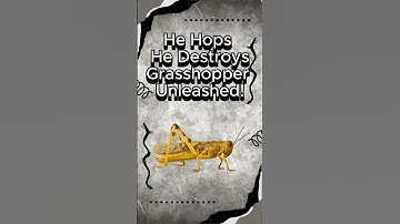He Hops. He Destroys. 🦗🚀 Grasshopper Unleashed!