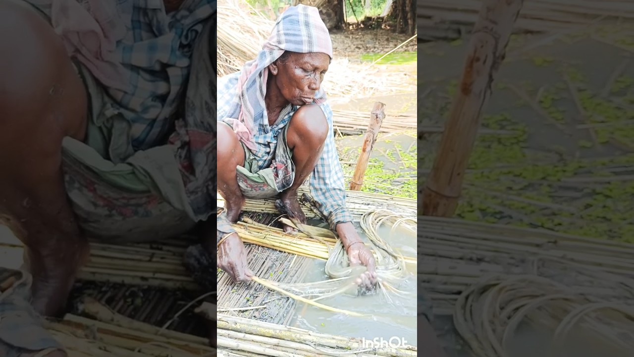 Farm women extracting Jute fibre 