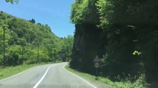 Ömer Faruk Tekbilek Araya