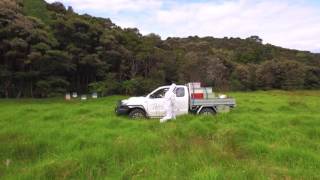 Tahi - Nature Sanctuary. Retreat. Sustainable Honey.