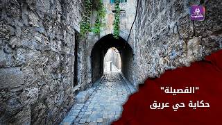 Al-Qusaila Neighborhood in Old Aleppo | An Archaeological Heritage Awaiting Essential Services | ... screenshot 4