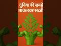 Benifits of Moringa || Superfood || Healthy Food || Sahjan