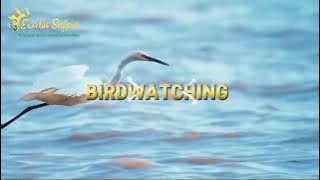 Top Things to Do in Lake Manyara National Park | Flamingos, Wildlife & Views | Exodus Safaris Tour