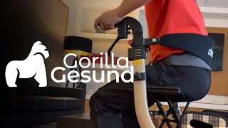 Rollator Nitro von Drive Medical, champagner | Gorilla Gesund