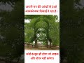 श्री राम जय राम जय जय राम #youtube #shorts #viral #video #trending