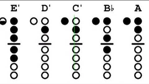 12 Major Scales for Recorder, Ascending and Descending