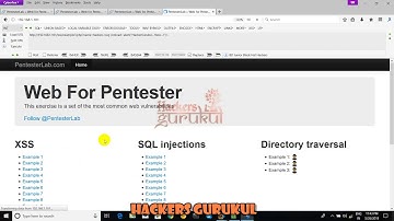 Web For Pentester -1  XSS  All Example