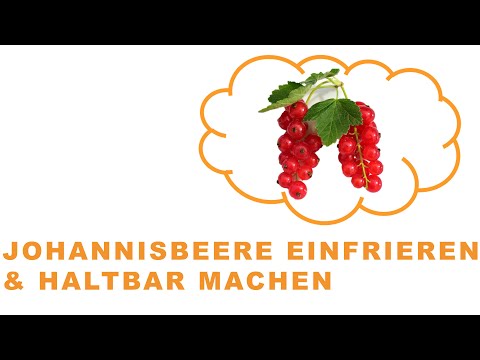 Video: Wie Man Rote Johannisbeeren Für Den Winter Einfriert