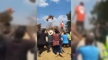 Ruff Child - Mercy (Remastered X) (Visualizer) #iamruffchild #ruffchild #themandelaeffect