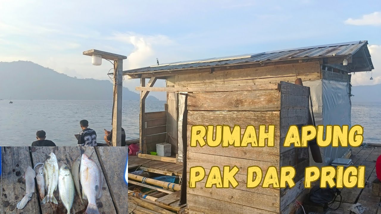 SEPERTI NARIK KAPAL‼️‼️ MODAL MANCING DI RUMAH APUNG BISA MERASAKAN STRIKE SEPERTI INI
