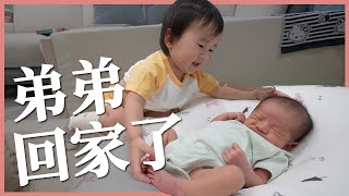 兩歲小姊姊怎麼跟新生兒弟弟相處新手二寶家庭的一天豬豬隊友 Scott & Wendy