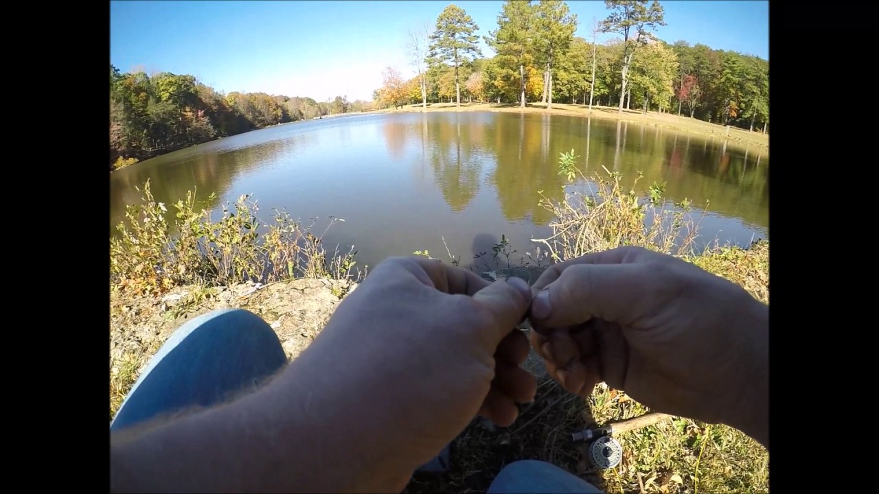 Fly Fishing for Bluegills YouTube
