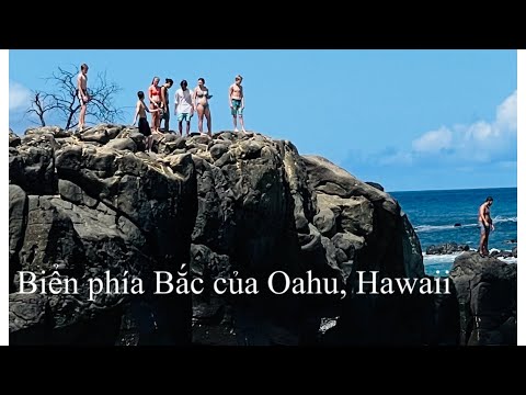 Video: Lái xe dọc theo Bờ Bắc của Oahu