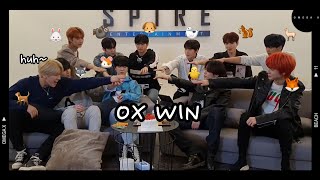 [OX]✨WE ARE OMEGA X✨ 11개 채널 엉킨 시끌벅적 오엑이들의 첫 라이브