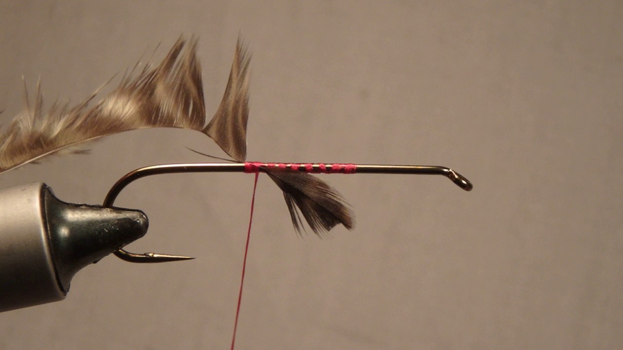 Fly Tying Up Close presents Palmer Hackles and Ribbing