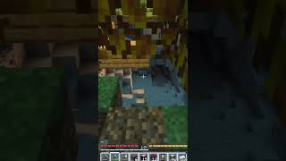 NO ONE IS SAVE FROM THE BIRD #minecraft #fyp #pokemon