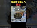 質屋に登場した隕石