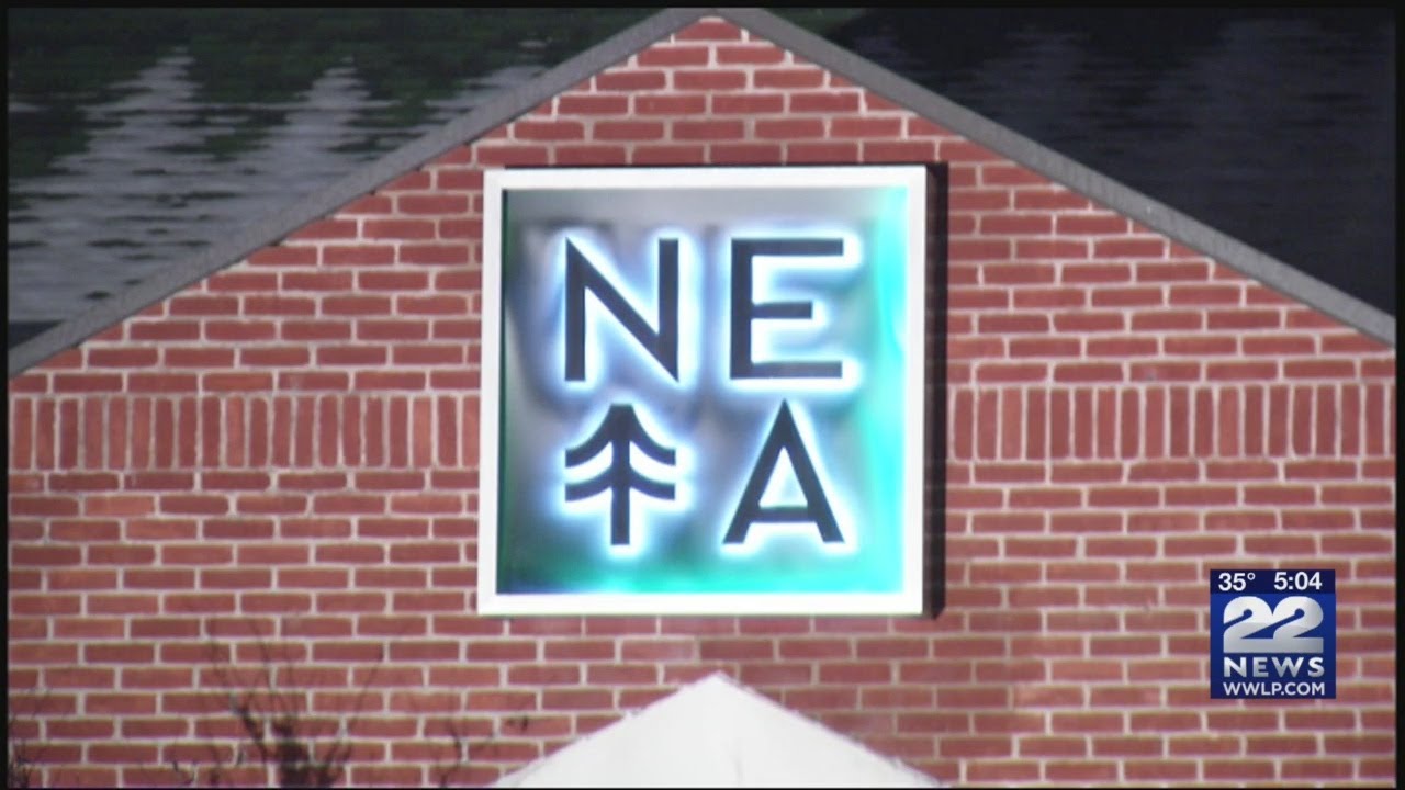 NETA in Northampton becomes one of the first recreational pot shops in the state