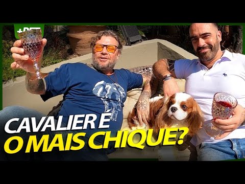 Vídeo: Caro Cachorro