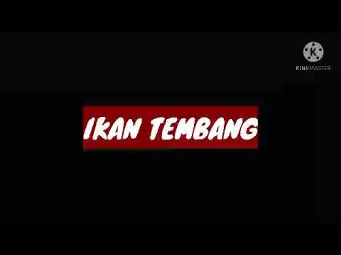 VIRAL TIK TOK‼! [ IKAN TEMBANG ] TN REMIXER OFFICIAL