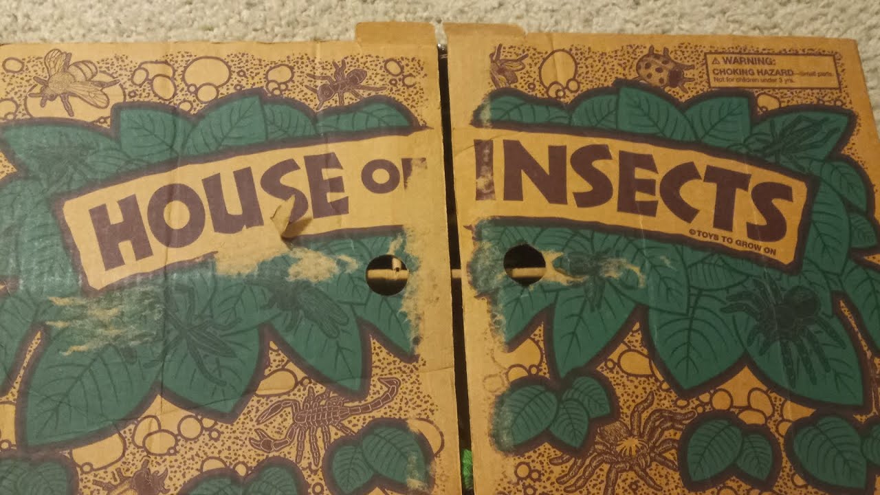 House of insects [READ DESCRIPTION] - YouTube