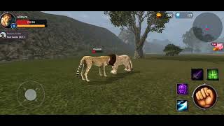 Lion V's Cheetah Fight İn The Forest / The Lion Simulation screenshot 5